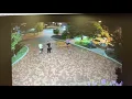 Surveillance footage outside Boyle County Public Library