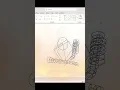 Download Lagu OGOH OGOH VIRAL TAMPAKSIRING 2025 !!! || TULAK TUNGGUL DESIGN @baliraistudio