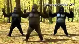 قرد يرقص يا سعود العلي دندنها
