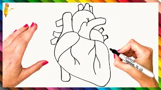 How To Draw A Human Heart Step By Step Human Heart Drawing Easy  How To Draw A Human Heart Step By Step Human Heart Drawing Easy