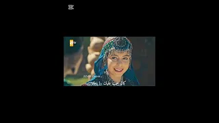 غيورت عثمان فان اوسبالي المؤسس عثمان اكسبلورر تصميمي بالا عثمان Trending Shorts Osbal  غيورت عثمان فان اوسبالي المؤسس عثمان اكسبلورر تصميمي بالا عثمان Trending Shorts Osbal