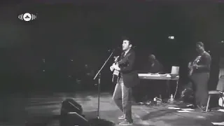 طعم البعاد صبار 