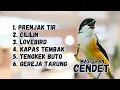 Download Lagu MASTERAN CENDET MATERI PRENJAK TIR, CILILIN, LOVEBIRD, KAPAS TEMBAK,  TENGKEK BUTO, GEREJA TARUNG MP3