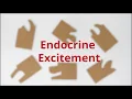 Endocrine Excitement
