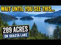 289 Acres ON Shasta Lake Land for Sale in California Then This Happened