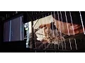 Download Lagu Philip Hoffman, filmmaker and 2016 Canada Council laureate - a film by Jenn E. Norton