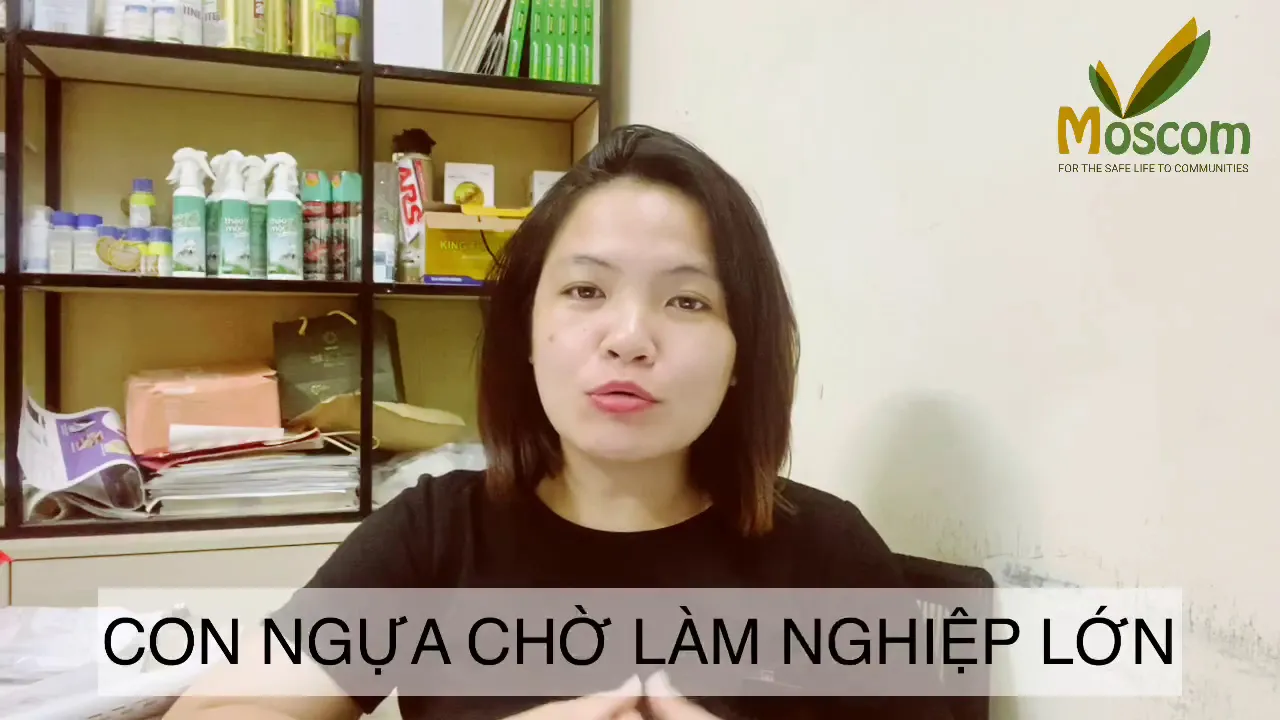 An lành cho gia đình và thú cưng!