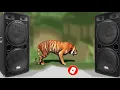 Download Lagu Le Photo Le  New Wedding Dance  Latest Rajasthani DJ Song 2019