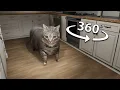 Lagu OIIAOIIA Cat Breaks Into Your House 360/VR