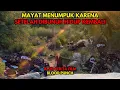 Download Lagu ADA LAGI, ADA LAGI, DAN ADA LAGI !!