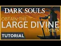 Dark Souls - How to get the Large Divine Ember in the Tomb of Giants
