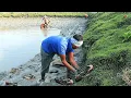 Lagu Wanita luar biasa Menangkap Raja Kepiting Lumpur di kolam Lumpur | Season Catch Pond Crabs