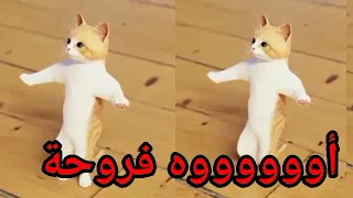 اغنية فروحة اغنية باسم فروحه الحلوة السعودية الكويت ابوظبي العراق قطر مسقط لبحرين الجزائر تركيا دبي 