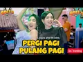 Lagu LUSYANA JELITA - PERGI PAGI PULANG PAGI - OM ADELLA live kasiman wonosobo