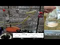 Making Diethyl Ether From Ethanol