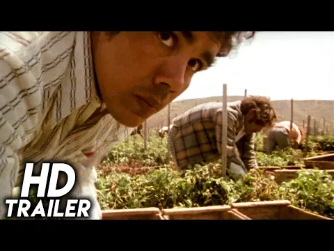 Alambrista! (1977) ORIGINAL TRAILER [HD 1080p]