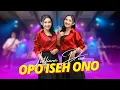 Download Lagu Lutfiana Dewi - Opo Iseh Ono (Official Music Video ANEKA SAFARI)