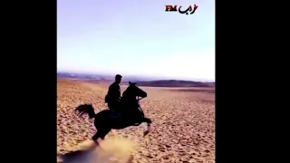 رقص الخيول العربية الاصيلة علي مزمار عبسلام فيديو احترافي شاهد للاخر لا يفوتك  رقص الخيول العربية الاصيلة علي مزمار عبسلام فيديو احترافي شاهد للاخر لا يفوتك