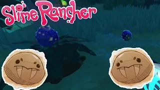 Slime Rancher - Exploring The Wilds and Saber Slimes