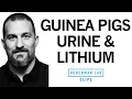 What s the History of Lithium How Does It Treat Bipolar Disorder Dr Andrew Huberman
