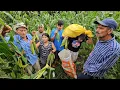 Download Lagu 🚨🤠Don Santo is almost finished with Dimas' cornfield🤣/El Salvador is my country