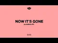 Download Lagu IN PARALLEL - NOW IT'S GONE (Official Visualiser)