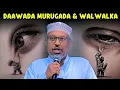 Download Lagu Murugada iyo ciriiriga nolasha sida looga baxo || sh mustafe xaaji ismaacil haruun 
