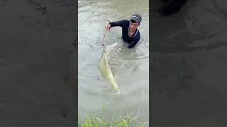 Fishing for giant fish is always surprised!