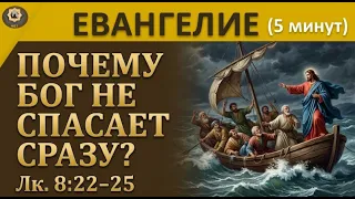 28 октября Евангелие Иллюзия контроля  Почему нас так пугает то, чем мы не можем управлять
