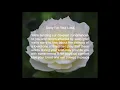 Jamel White - Rest in Peace Gif