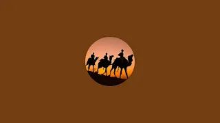 Camels Lovers is live
