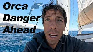 Sailing Into Orca Territory: Cádiz to Gibraltar