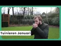 Lagu Tuinieren in Januari: Start het Jaar Groen!