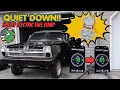 Can I QUIET DOWN a Holley Electric Fuel Pump