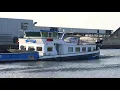 ⚓️'SAFIRA' heel mooi beunschip uit Middelburg, 02313919, gespot 25 11 2020