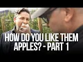 How do you like them apples - PART 1