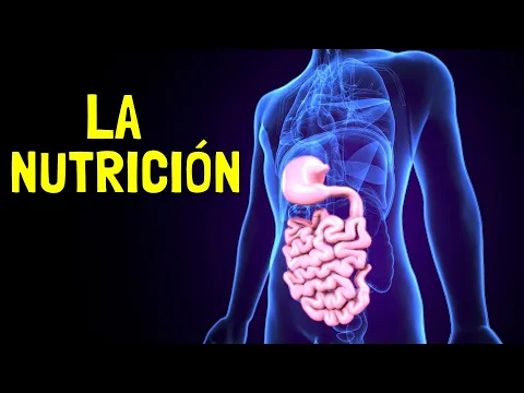 Download MP3 La FUNCIÓN DE LA NUTRICIÓN - Procesos, alimentos y nutrientes