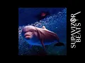 Alternative Bouncy Dance Music Type Beat - ''Dolphin Dance'' | Supavizor Beats