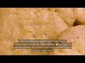 Jason s Deli Nutrition Menu 2025 - Best Healthy Tasty Picks