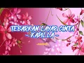 Lagu Kapilla - Tebarkan Layar Cinta (Lirik Lagu)