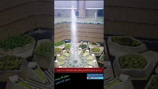 أجمل نافورة في العالم السعودية Shorts 