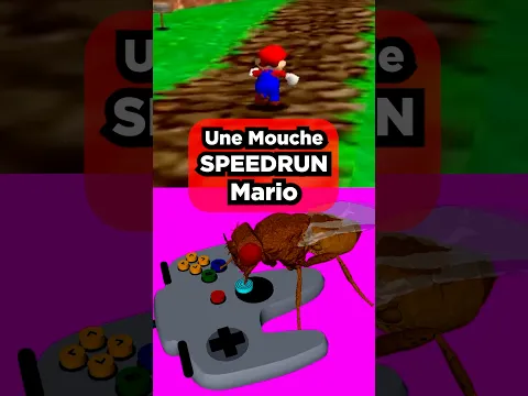 Une Mouche SPEEDRUN Mario 64 #gaming #nintendo