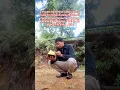 Download Lagu kukira apa teryata masalah 😁