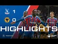 GUESSAND LAST MINUTE WINNER Crystal Palace 1-0 Wolves Premier League Highlights