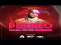 Lagu Perreo Cumbia Mix By DJ Lex ID LPA - Frequency Music Producciones