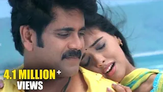 shivamani telugu movie yenaatiki video songs nagarjuna asin