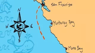 25. Sailorama: Baja Yeehaw!