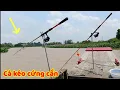 Download Lagu Dòng sông cá khủng rất nhiều ở Miền tây - Cá kéo cứng cần câu
