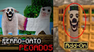 Este Mod Da Más Miedo Que VERITY...si los ves corre(PERROYGATO fueron cortados a la MITAD y PEGADØS)