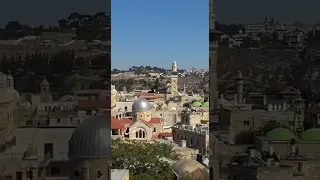 بعضي وكلي محمد غندور القدس ورد 